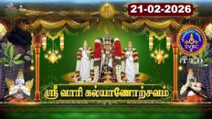 Srivari Kalyanotsavam || Tirumala || SVBC2 Tamil || 21-02-2026 || SVBC TTD