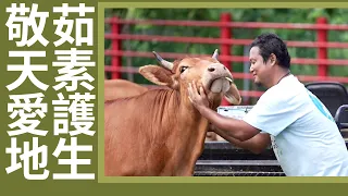 【證嚴上人衲履足跡】 敬天愛地 萬物共生 20260808
