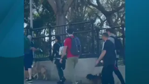 Rory's Walk: over £40,000 raised since 2021 for Brain Tumour Research