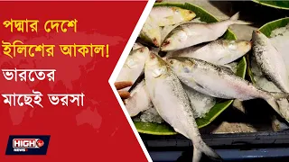 TONNES OF HILSA FROM INDIA | বাংলাদেশে ইলিশ আকাল, পুজোয় পদ্মার ইলিশ কি তবে অধরাই ?