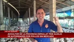Espaillat poultry farmer asks for help due to lack of market for his chickens
