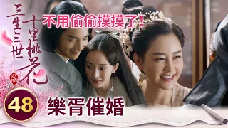 議親！女帝深夜偷偷密會太子被抓包 婆婆趕忙上門催婚了～【三生三世十里桃花】精華 EP48-7 楊冪、趙又廷、迪麗熱巴、高偉光、張智堯 @ctvdrama_classic