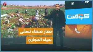 مشاهد صادمة لمزارع تُسقى بمياه المجاري | كومنت