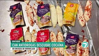 noticias 7 NOTICIAS 7 - Noticiero Matinal 28 de julio de 2026 - Noticias Ecuador