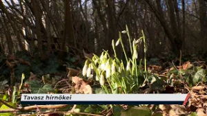 Híradó – 2026.02.18. - Szerda– Sopron TV