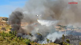 Wildfire in Mangualde mobilizes over 200 personnel and shuts down Beira Alta railway line
