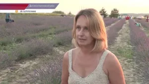 Нижегородский прованс образовался неподалеку от деревни Зубаниха