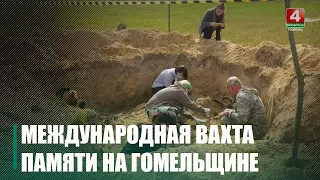 Спустя 85 лет: в Жлобинском районе ищут солдат, погибших в боях 1941 года