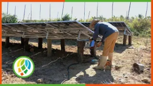 Instalación de sistemas de riego con energía fotovoltaica en el municipio de Consolación del Sur