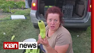 Klan News- Shtohen kostot e prodhimit për fermerët