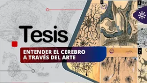 Tesis | Cómo entender el cerebro a través del arte