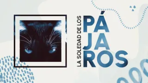 La soledad de los pájaros | Sandra Becerril lee su novela de horror | UNAMirada