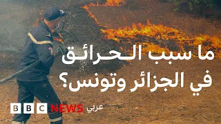 حرائق الغابات في الجزائر وتونس... فعل فاعل أم تغير مناخي؟