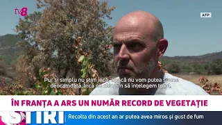 Franța a înregistrat un record de incendii de vegetație: recolta ar putea avea gust de fum
