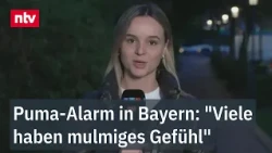 Big cat reported on the loose near Munich, possibly a puma, says reporter Reichardt | ntv