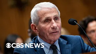 Democratic, Republican strategists share takeaways from Fauci hearing