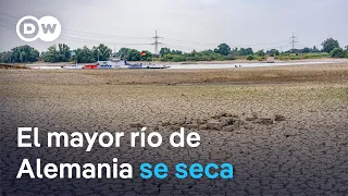 The Rhine loses water levels and puts freight transport in jeopardy