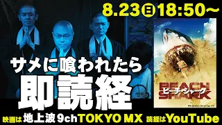 【今年も!!】映画で“人がサメに喰われたら”本物のお坊さんが即読経します！【ビーチ・シャーク/彼岸田盆】#映画　#即読経　#サメ