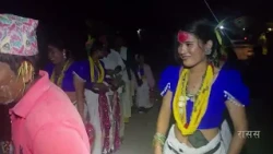 दसैँको अवसरमा सख्या नाच प्रस्तुत गर्दै थारु समुदाय | NTV