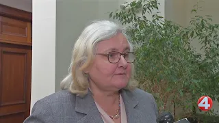 Jeanne Vinal to run for Erie County Democratic Committee chair