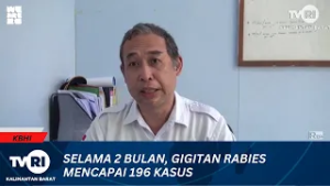 5 MARET 2026 SELAMA 2 BULAN, GIGITAN RABIES MENCAPAI 196 KASUS