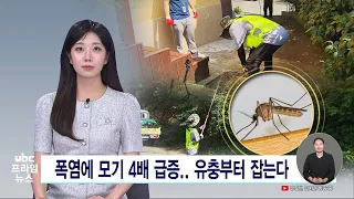 Mosquitoes Surge 4x Due to Heatwave... Targeting Larvae First 260728