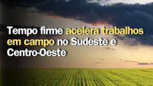 Previsão do tempo| Brasil 15 dias | Tempo firme acelera trabalhos em campo no Sudeste e Centro-Oeste