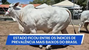 Adapi confirma novos casos de tuberculose bovina no litoral do Piauí | Meio Norte