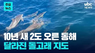 East Sea temperatures up 2 degrees in a decade... The shifting dolphin map 260727