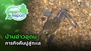 Ao Udom Community and the Mission to Return Crabs to the Sea | Green Report