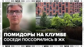 Scandal at a Moscow apartment complex over tomatoes in a flower bed