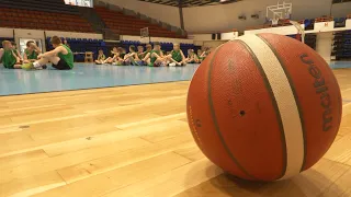 Kosárpalánták a körcsarnokban