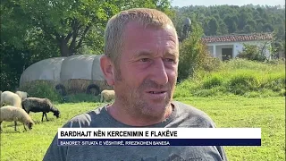 Bardhajt nën kercenimin e flakëve