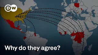 Inside the global deportation network | DW News