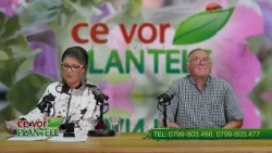 If the plant is heavy with fruit, it must be helped to ripen Cristina and Horia Ghibu
