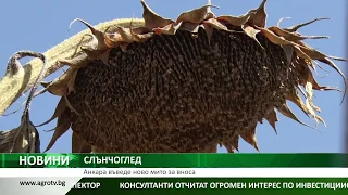 СЛЪНЧОГЛЕД: Анкара въведе ново мито за вноса