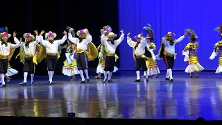 This Is How the National Dance Gala Went Down