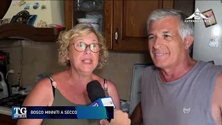 TG Sicilia August 1, 2026 - 1:30 PM