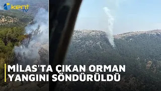 MİLAS'TA ÇIKAN ORMAN YANGINI SÖNDÜRÜLDÜ