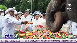 Sakon Nakhon Offers Food to Royal Elephants in Honor of the King | Isan Today July 29, 2026