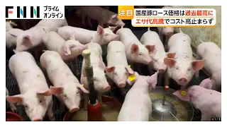 A5ランク宮崎牛「焼肉弁当」が530円　29日は「肉の日」お得求め行列　国産豚ロース価格は過去最高に（2026年09月30日）