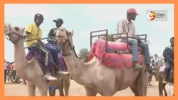 Mashindano ya kimataifa ya ngamia ya Maralal kaunti ya Samburu yaanza kukuza utalii na biashara