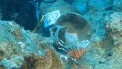 Turquia: arqueólogos descobrem naufrágio mais antigo do mundo