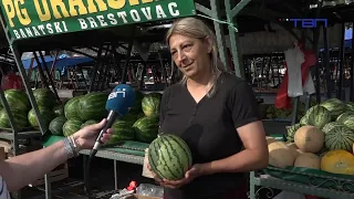 Pipita osvaja slatkoćom - TV Pančevo