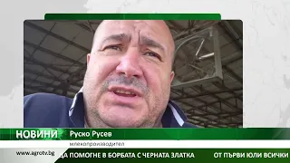 СЕКТОР "МЛЯКО" : Позицията на един български производител от Силистренско