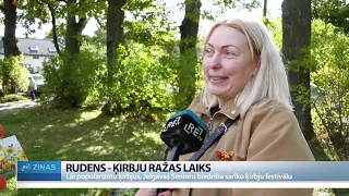 45 kilogrami no nejauši izmestām sēklām – Jelgavā dižojas ķirbju milzenis