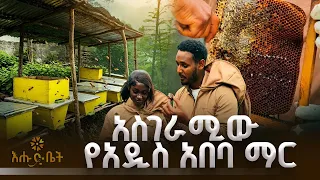 አረንጓዴ አሻራ ንቦችን ከሞት ታድጎልናል       | ብታዮት | እሑድ ቤት |አዲስ አበባ በከተማ ግብርና|
