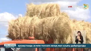 Қазақстанда 20 млн тоннаға жуық мал азығы дайындалды
