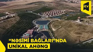 Şamaxının “Nəsimi bağları”nda unikal ahəng