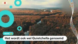 Festival in Finland with only nature sounds